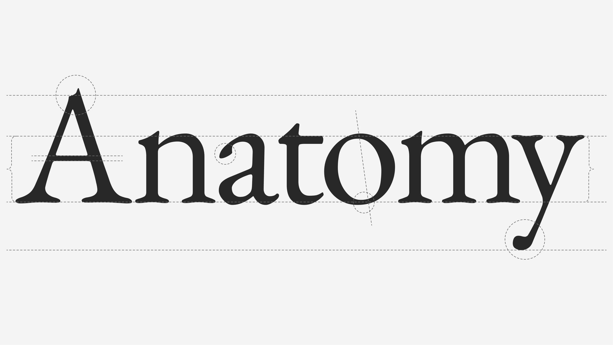 the basics of type anatomy_readymag blog